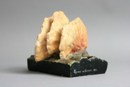 Atlas of Landscapes in a Room