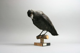 Atlas of Landscapes in a Room