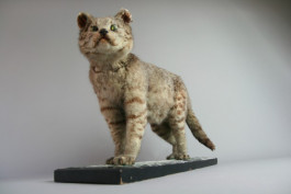 Atlas of Landscapes in a Room