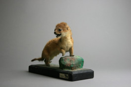 Atlas of Landscapes in a Room