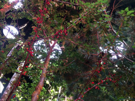 Atlas of Landscapes in a Room