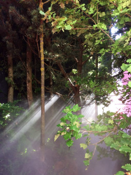 Atlas of Landscapes in a Room