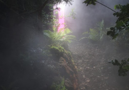 Atlas of Landscapes in a Room