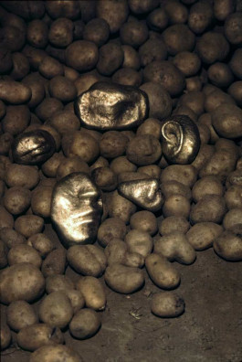 Atlas of Landscapes in a Room