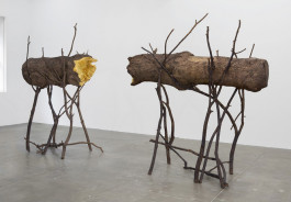 Atlas of Landscapes in a Room