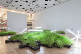 Atlas of Landscapes in a Room