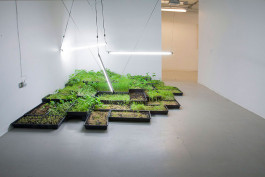 Atlas of Landscapes in a Room