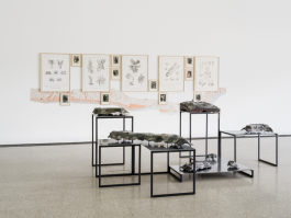 Atlas of Landscapes in a Room