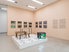 Atlas of Landscapes in a Room