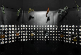 Atlas of Landscapes in a Room