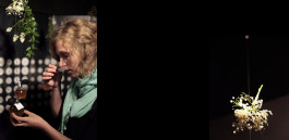 Atlas of Landscapes in a Room