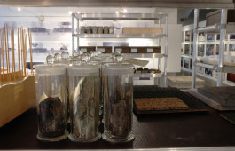 Atlas of Landscapes in a Room