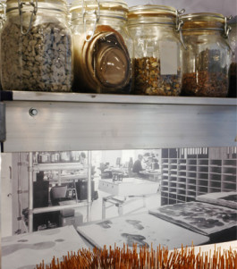 Atlas of Landscapes in a Room