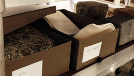 Atlas of Landscapes in a Room