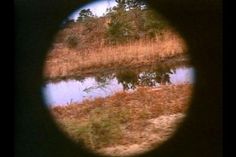 Atlas of Landscapes in a Room