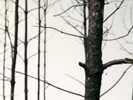 Atlas of Landscapes in a Room