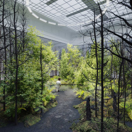 Atlas of Landscapes in a Room