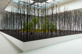 Atlas of Landscapes in a Room