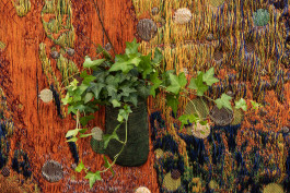 Atlas of Landscapes in a Room