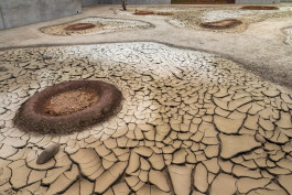 Atlas of Landscapes in a Room