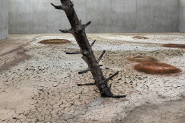 Atlas of Landscapes in a Room