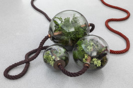 Atlas of Landscapes in a Room