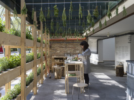 Atlas of Landscapes in a Room