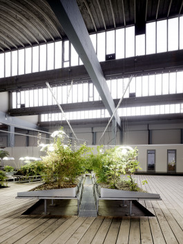 Atlas of Landscapes in a Room