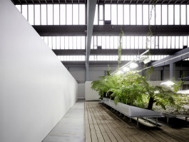 Atlas of Landscapes in a Room