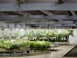 Atlas of Landscapes in a Room