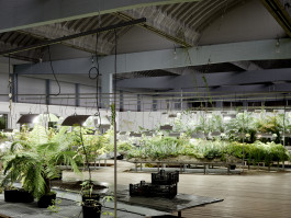 Atlas of Landscapes in a Room